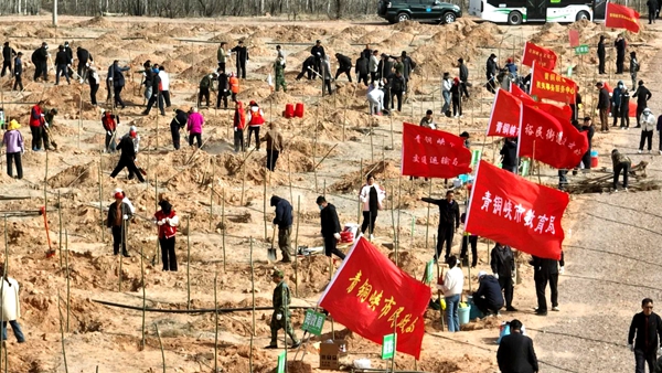 吳忠市開展2025年春季義務(wù)植樹活動(dòng)