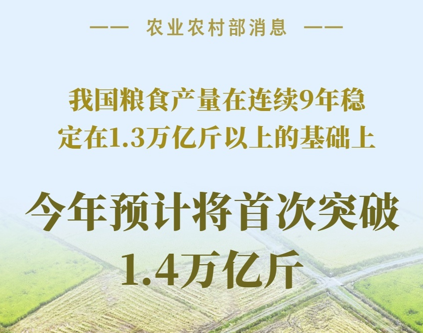 預(yù)計將首次突破1.4萬億斤！數(shù)據(jù)看“大國糧倉”的底氣