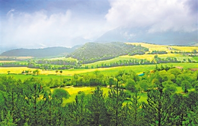 <p>　　　　槐樹(shù)林生態(tài)森林公園</p>