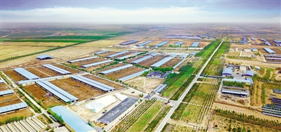 <p>　　利通區(qū)五里坡奶牛養(yǎng)殖基地。</p>