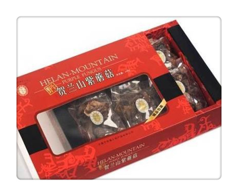賀蘭山紫蘑菇 (3).jpg
