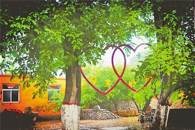 <p>　　龍泉村百年核桃樹(shù)</p>