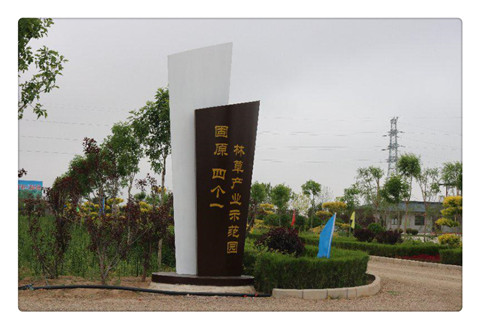 “四個一”試驗(yàn)示范園1.jpg