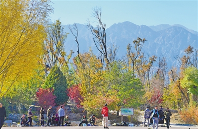 <p>　　空氣質(zhì)量日益改善，周末人們匯聚在賀蘭山下觀景。</p>