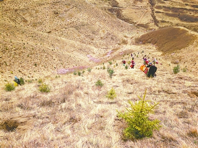 <p>　　盡日不忘植樹(shù)人</p>