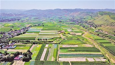 <p>　　火集村蔬菜種植基地。</p>
