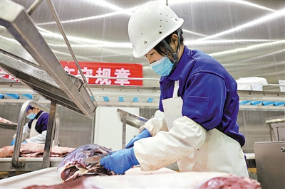 <p>　　海原縣海潤肉類食品有限公司屠宰場，工人在流水線上分割處理牛肉。</p>