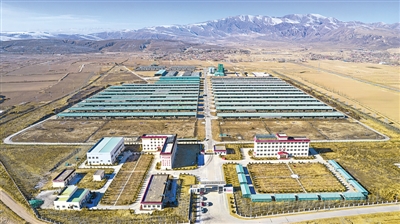 <p>　　海原縣標(biāo)準(zhǔn)化、規(guī)模化肉牛養(yǎng)殖基地。</p>