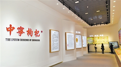 <p>　　寧夏大學(xué)枸杞職業(yè)技術(shù)繼續(xù)教育學(xué)院枸杞文化長廊展示枸杞歷史文化。依托院校資源，中寧縣大力培養(yǎng)枸杞苗木繁育、電子商務(wù)、冷鏈倉儲(chǔ)、科技推廣等方面的專業(yè)技術(shù)人才?！　　　　　　　　　　　　　　　　　　　　　　　　　　　　　　　　　　　　　　　　　　　　　”緢?bào)記者　王鼎　攝</p>