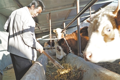 <p>　　有水就敢大膽發(fā)展養(yǎng)殖產(chǎn)業(yè)。</p>