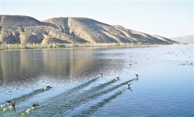 <p>　　灘涂水澤成候鳥(niǎo)棲息地。</p>