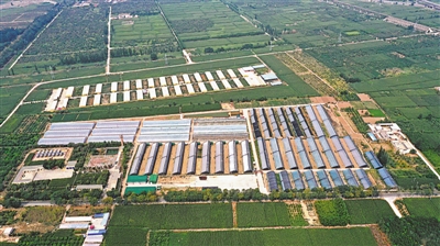 <p>　　新堡鎮(zhèn)“跨村聯(lián)建”。</p>