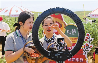 <p>　　中寧入列全國電子商務(wù)進農(nóng)村綜合示范縣。</p>