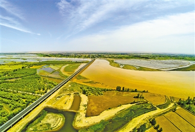 <p>　　陶樂黃河大橋。　　　本報記者　王曉龍　　攝</p>