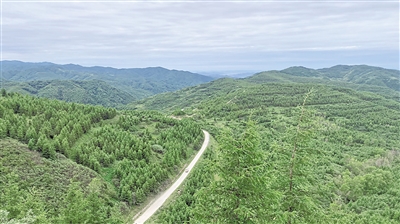 <p>　　涇隆公路沿線景致（資料圖片）。全區(qū)山林權(quán)改革實(shí)施以來，林地確權(quán)有了新突破。重點(diǎn)縣區(qū)權(quán)屬無爭(zhēng)議林地確權(quán)率達(dá)到98.27%，依申請(qǐng)頒發(fā)林權(quán)類不動(dòng)產(chǎn)證233本，基本實(shí)現(xiàn)“應(yīng)確盡確”。登記頒證有了新模式。鹽池縣將確權(quán)的林地量化為股權(quán)，實(shí)現(xiàn)　“分股不分山”“分利不分林”。彭陽縣變單戶發(fā)證為聯(lián)戶發(fā)證，首創(chuàng)《山林地確權(quán)明白書》，破解“一戶多證”的難題。植綠護(hù)綠有了新主體。惠農(nóng)區(qū)通過建立林票換能票、能票換鈔票、鈔票換林票的“三票”聯(lián)動(dòng)機(jī)制，引入社會(huì)資本5600萬元。林權(quán)融資有了新渠道。靈武市設(shè)立政府回購基金，通過“預(yù)回購+林權(quán)質(zhì)押+擔(dān)保+貸款”的林業(yè)金融服務(wù)模式，為經(jīng)營(yíng)主體授信擔(dān)保貸款。流轉(zhuǎn)收益上了新臺(tái)階。彭陽縣集體林地流轉(zhuǎn)交易價(jià)格從2021年的每畝13—20元增長(zhǎng)到2022年的每畝37—250元，帶動(dòng)集體林地經(jīng)營(yíng)權(quán)流轉(zhuǎn)增值效應(yīng)逐步顯現(xiàn)。</p><p>　　目前，已有5宗山林權(quán)在自治區(qū)公共資源交易平臺(tái)完成交易，成交金額169.27萬元，成交面積2504.5畝。本報(bào)記者　毛雪皎</p>