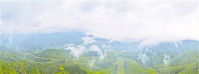     清晨，薄霧籠罩六盤山。