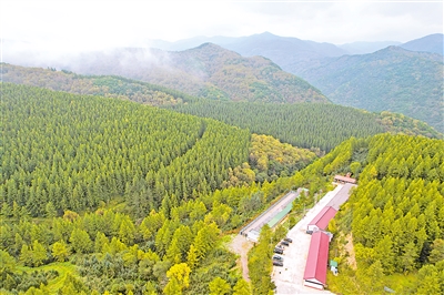     位于六盤山國家森林公園內(nèi)的王化南護林點。