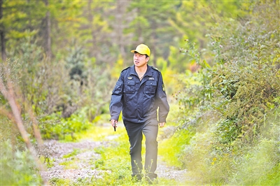     護林員馬成君踏上巡山路。